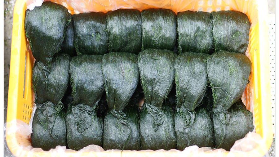 매생이 350g x 10재기