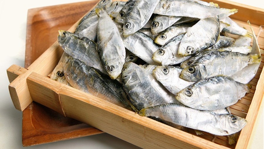 디퍼리특특 1.5kg/1kg/500g